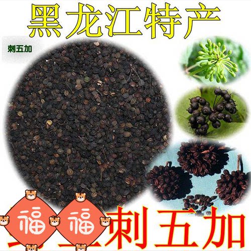 刺五加 刺五加籽刺五加果刺五加茶黑龙江特产中药材 干品