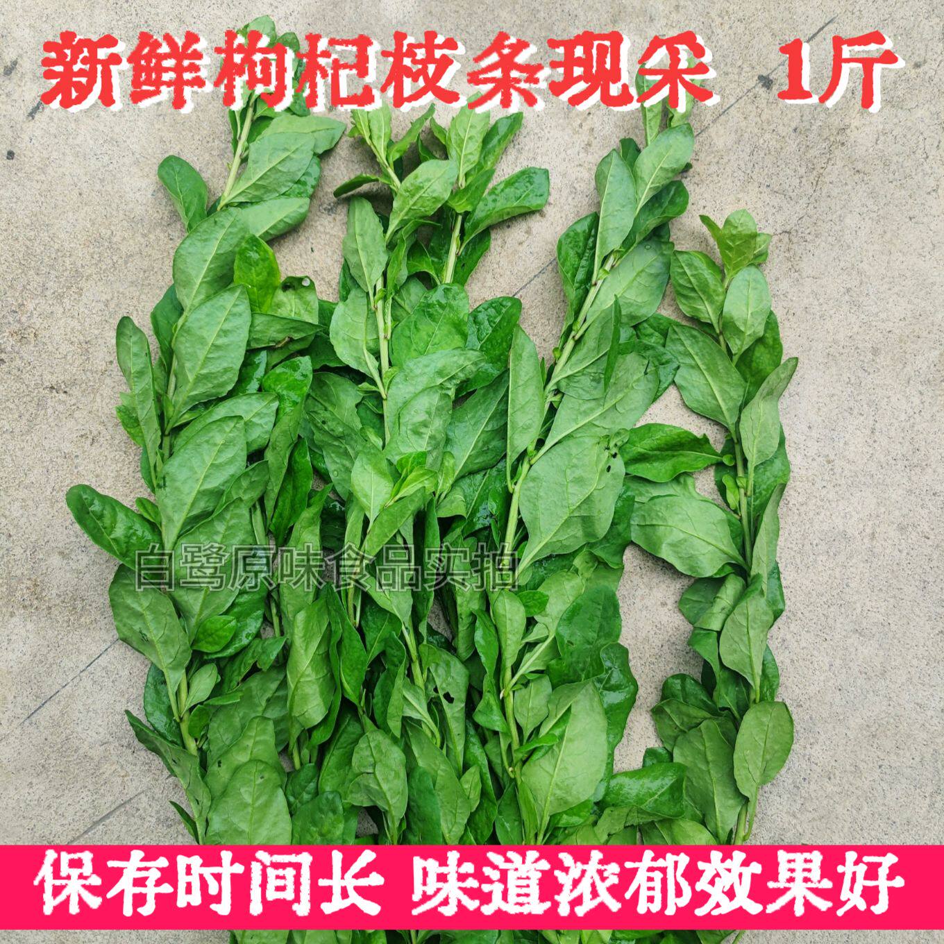 广东猪杂汤大叶枸杞菜新鲜带杆枸杞叶清肝明目火锅烫菜凉拌菜1斤