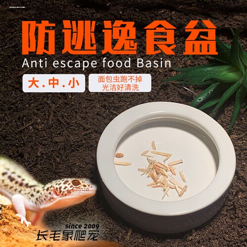 爬虫防逃逸食盆陶瓷水盆鬃狮守宫蜘蛛活体饲料面包虫大麦虫防逃脱