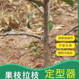 型拉枝器拉枝果树神器别枝器压弯枝条固定器压枝弯枝器定型树枝