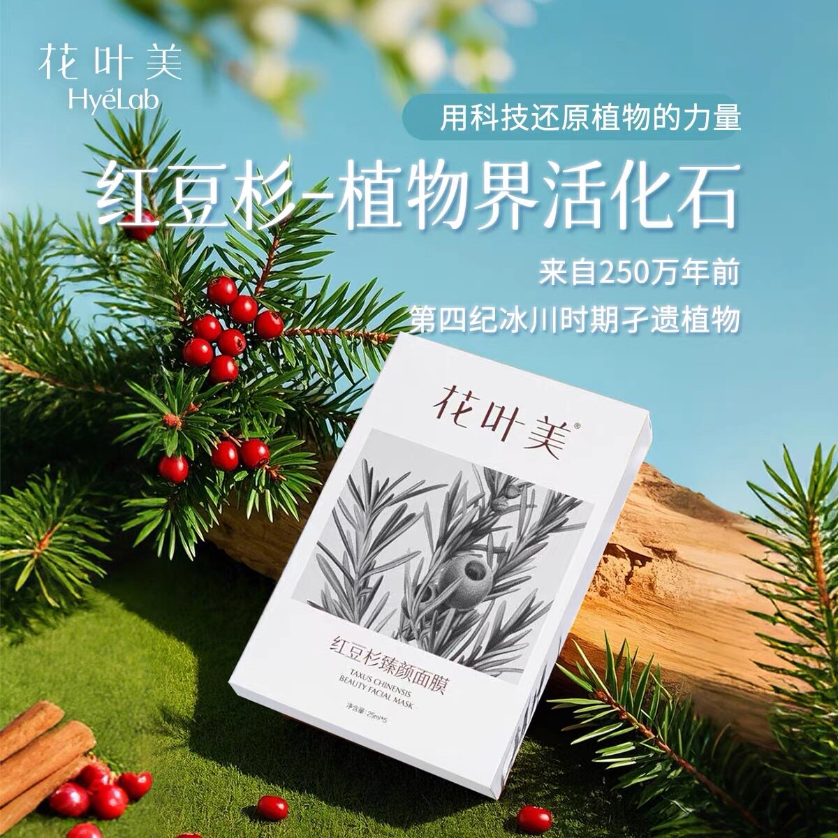 花叶美红豆杉臻颜面膜5片紧致淡贴片面膜