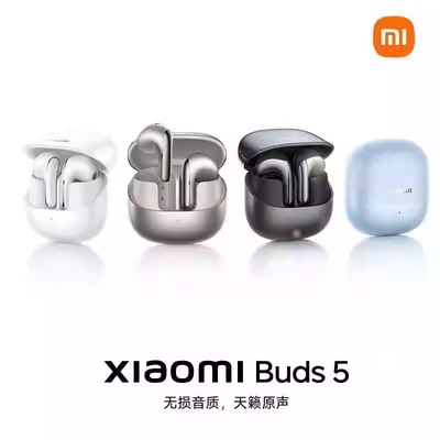 小米 Xiaomi Buds 5蓝牙耳机半入耳式独立录音语音转文字