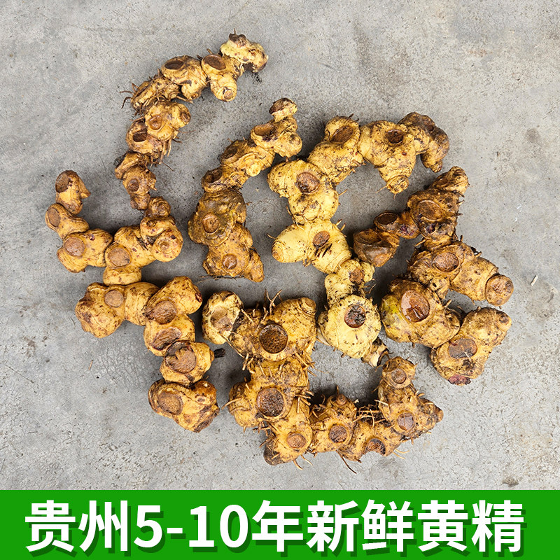 贵州鲜黄精多花黄精新鲜老虎姜滇黄精生黄精野山九蒸九晒中药材