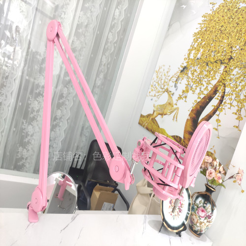 悬臂支架麦克风防震架防喷网主播