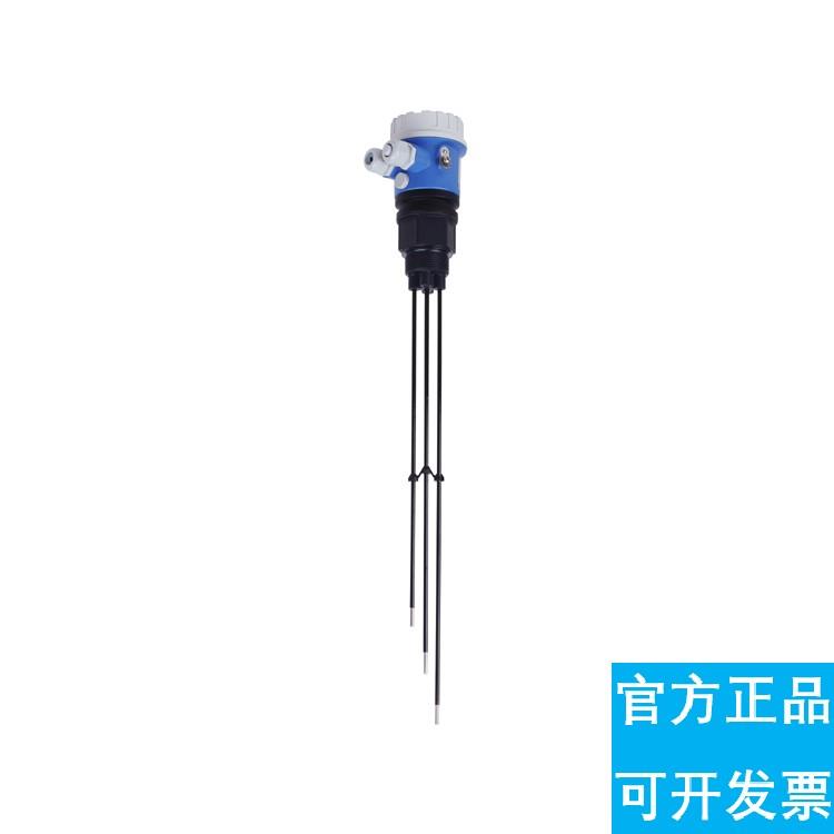 议价E+H 电导液位计 FTW31-A1A2CA4A 恩德斯豪斯