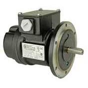 议价法国Radio Energie雷恩测速发电机REO444RREO444NRE0588