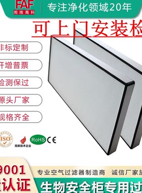 百级生物安全柜过滤器 赛默飞博科力申ESCO 洁净工作台超高效滤芯