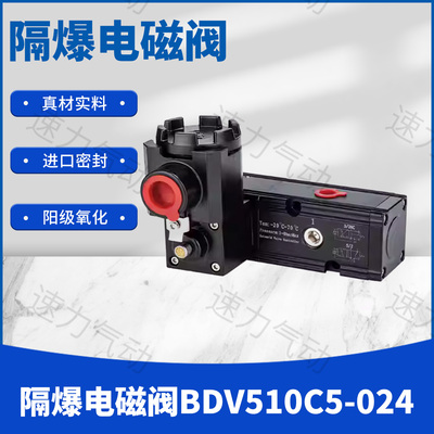 隔爆电磁阀BDV510C5-024T6