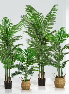 仿真绿植高级感散尾葵植物盆栽家居客厅装饰摆件落地室内假树绿植