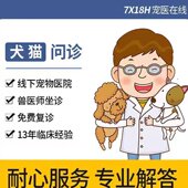 宠物医生问诊24小时兽医咨询猫咪狗狗宠物医院诊所问题在线看病
