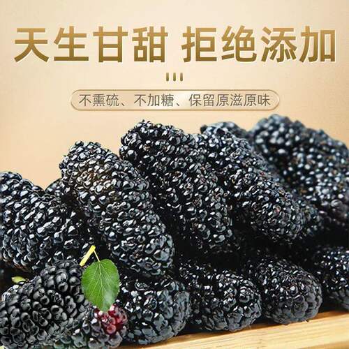 正品黑桑椹干新货500克桑葚干的功效与作用新鲜农家无硫桑泡食用