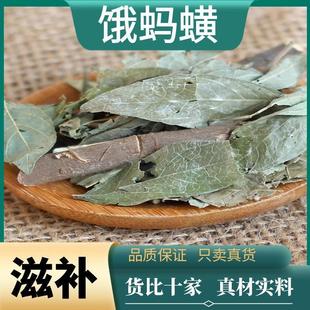 正宗饿蚂蟥独脚金汤天然新鲜中草药优质煮水煲汤不吃饭积可食汤