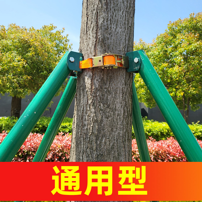 树木支撑架钢管支架厂家直销淘财