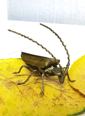 非遗手工艺品纯手工编织草编棕编天牛摆件创意仿真昆虫礼品