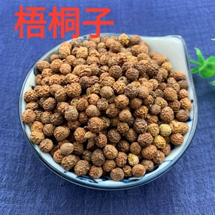 梧桐子中药材 新鲜干货 梧桐籽 梧桐树子 瓢儿果 桐麻豌新货包邮