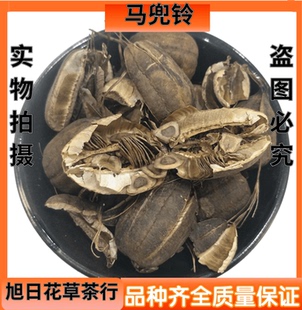 中药材马兜铃500克包邮马兜零马兜苓兜玲香果葫芦罐臭铃铛蛇参果