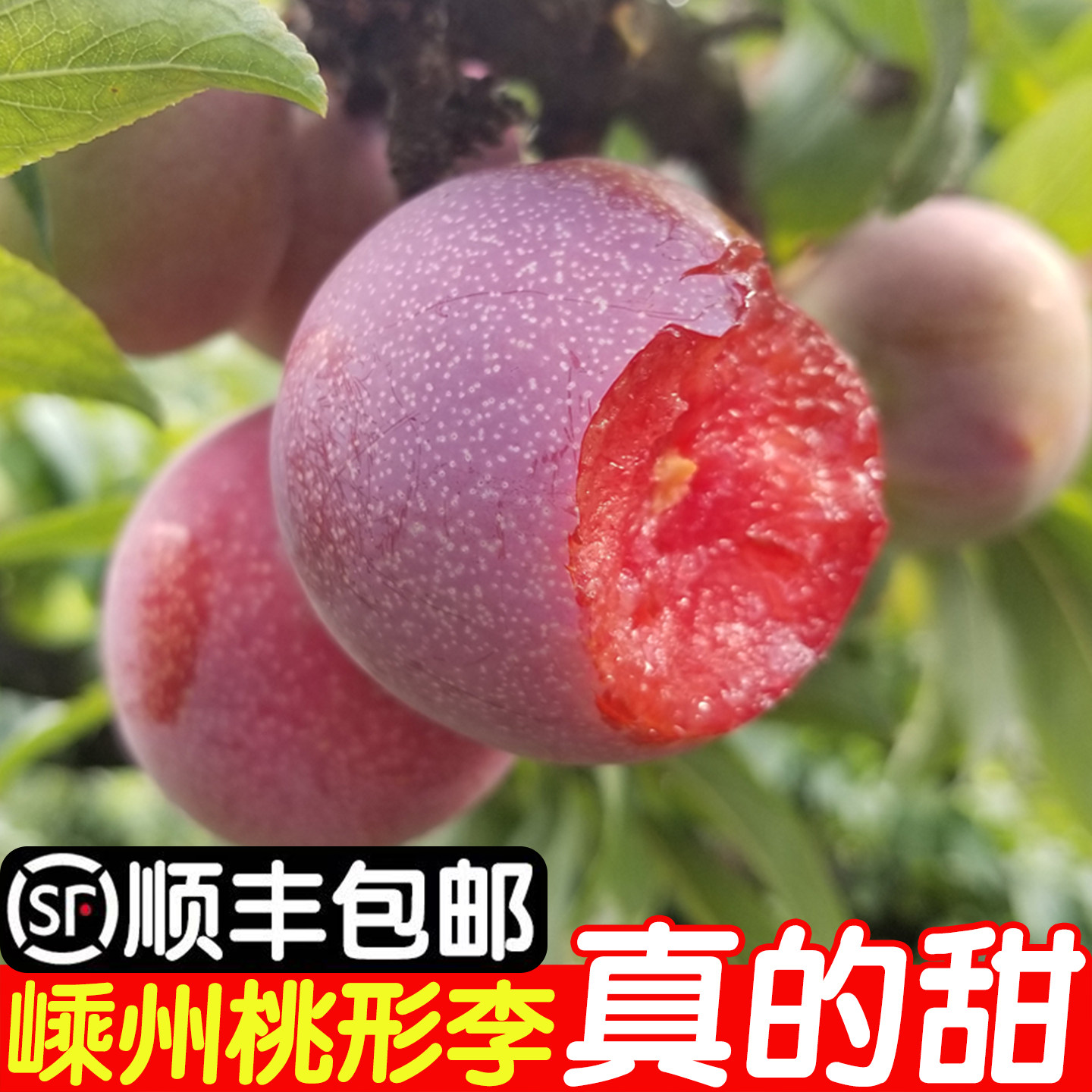 正宗嵊州桃形李红心李子新鲜水果脆甜脱骨三华李5斤浙江桃型李