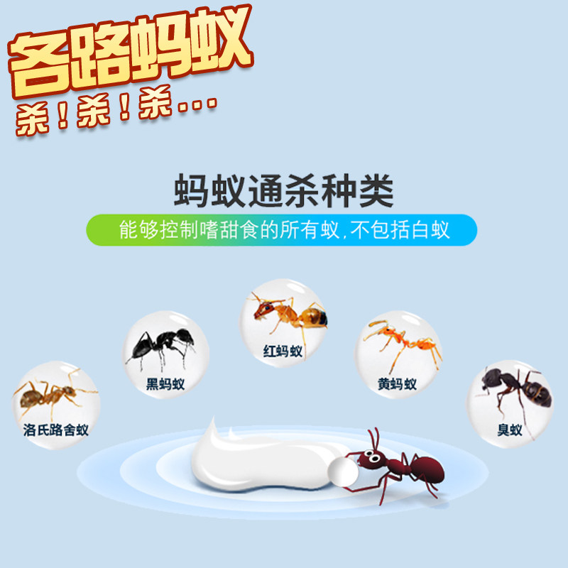 德国拜耳蚂蚁药室内家用一窝全端拜灭士灭蚂蚁药户外灭除杀蚁胶饵