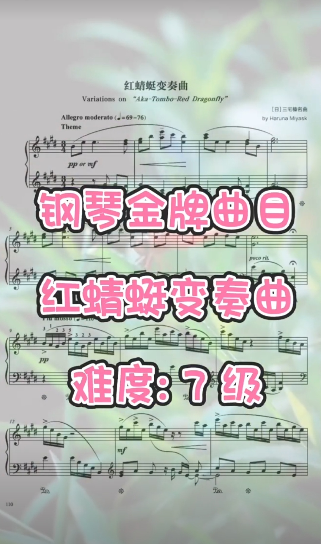 红蜻蜓变奏曲  小众比赛曲目 钢琴曲 完整音频 乐器/吉他/钢琴/配件 乐器咨询 原图主图