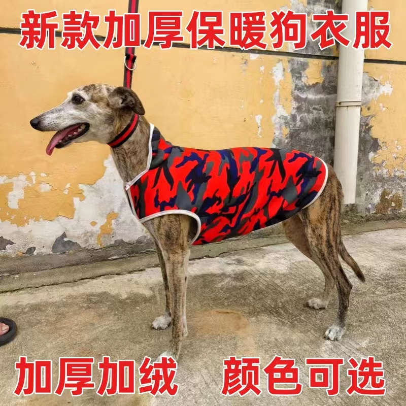 格力犬灵缇惠比特犬衣服加绒保暖狗狗棉服棉衣赛道服中大型犬加厚