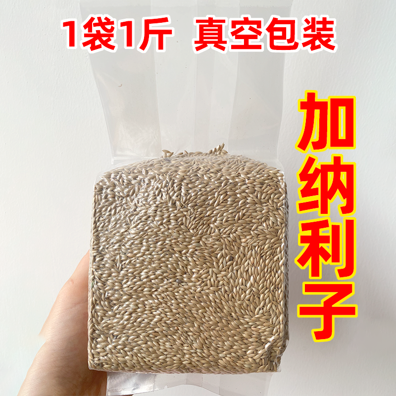 加纳利子虎皮玄凤小太阳鹦鹉鸟粮