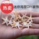 热卖 造景 天然迷你小海星漂流瓶许愿瓶海洋瓶贝壳画DIY手工材料