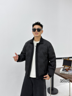 2025冬季新款男士翻领小版修身轻薄简约帅气青年羽绒服上衣外套潮