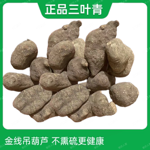 福建三叶青金线吊葫芦纯天然野外采挖农家自晒不熏硫包邮