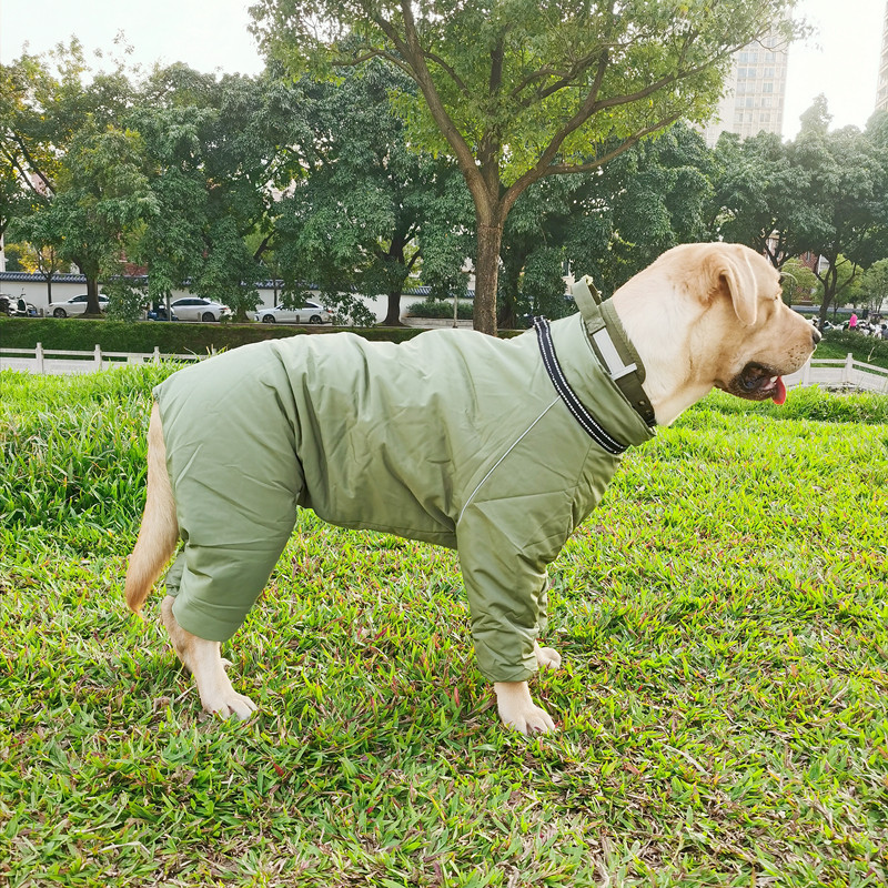 宠物大狗冬装中大型犬包肚子棉衣金毛边牧狗棉服可牵引加厚四脚衣