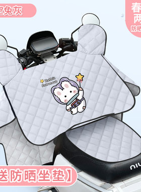 新大洲磐石maxA20电动车防晒罩挡风被夏季薄款防水防风四季遮阳