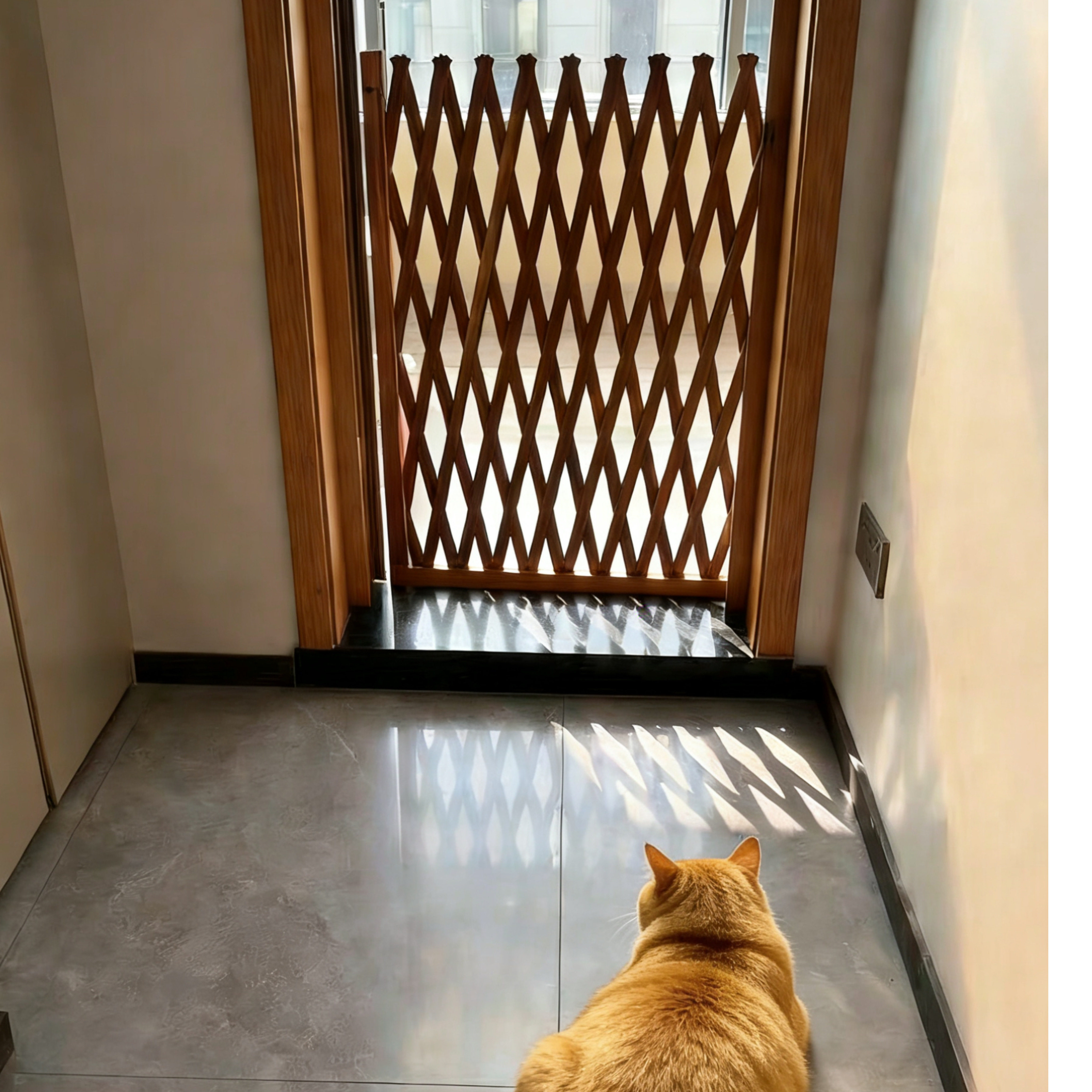 宠物围栏可伸缩门户外室内伸缩隔断拦猫拦狗栅栏挡板隔离门免打孔