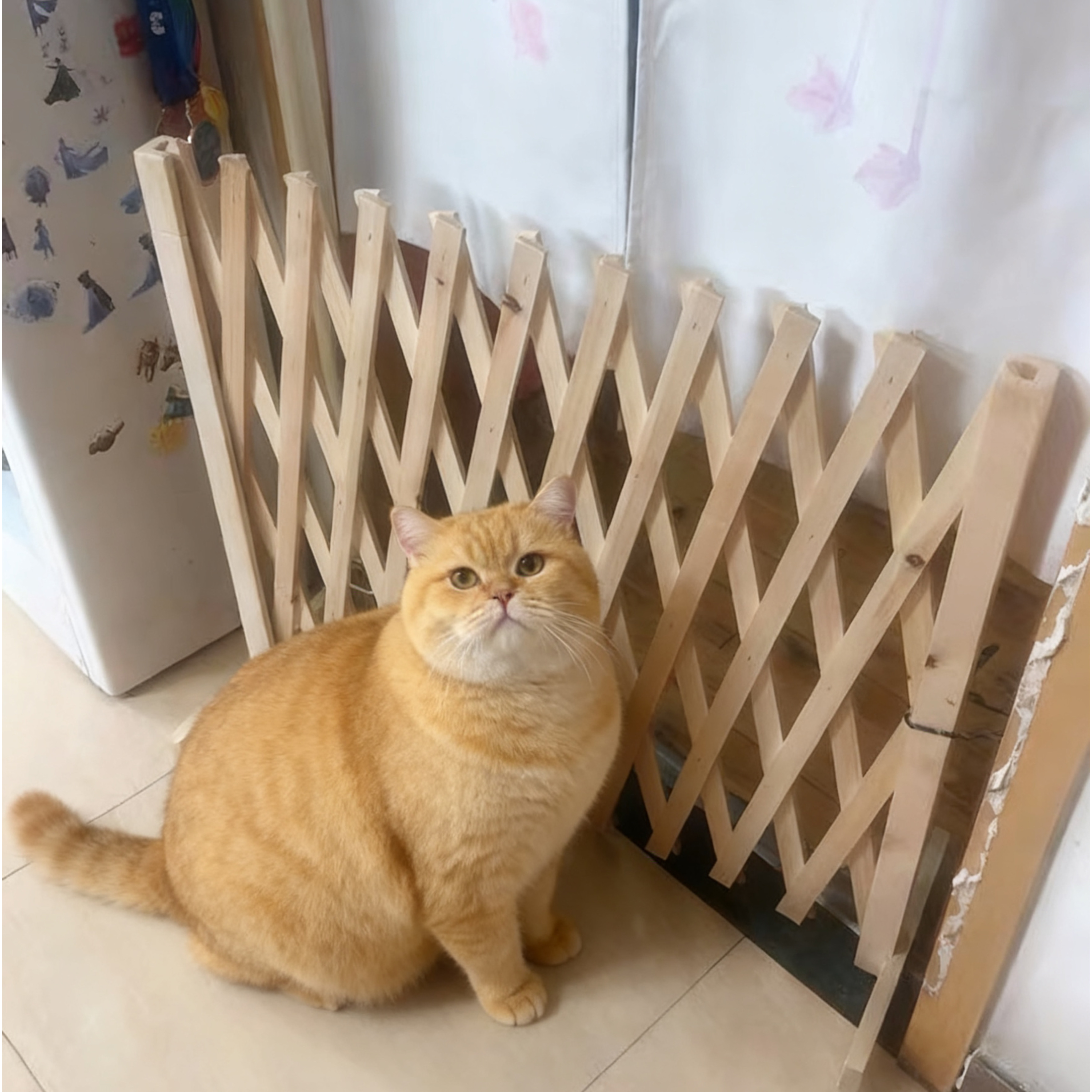 宠物围栏狗笼隔断拦狗栅栏阳台隔离门可伸缩栅栏门挡狗挡猫护栏