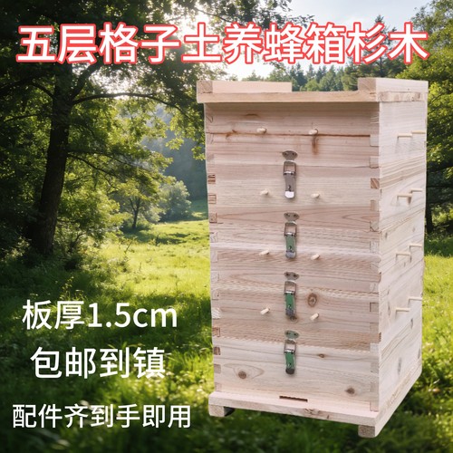 杉木五层格子诱蜂箱养蜂用