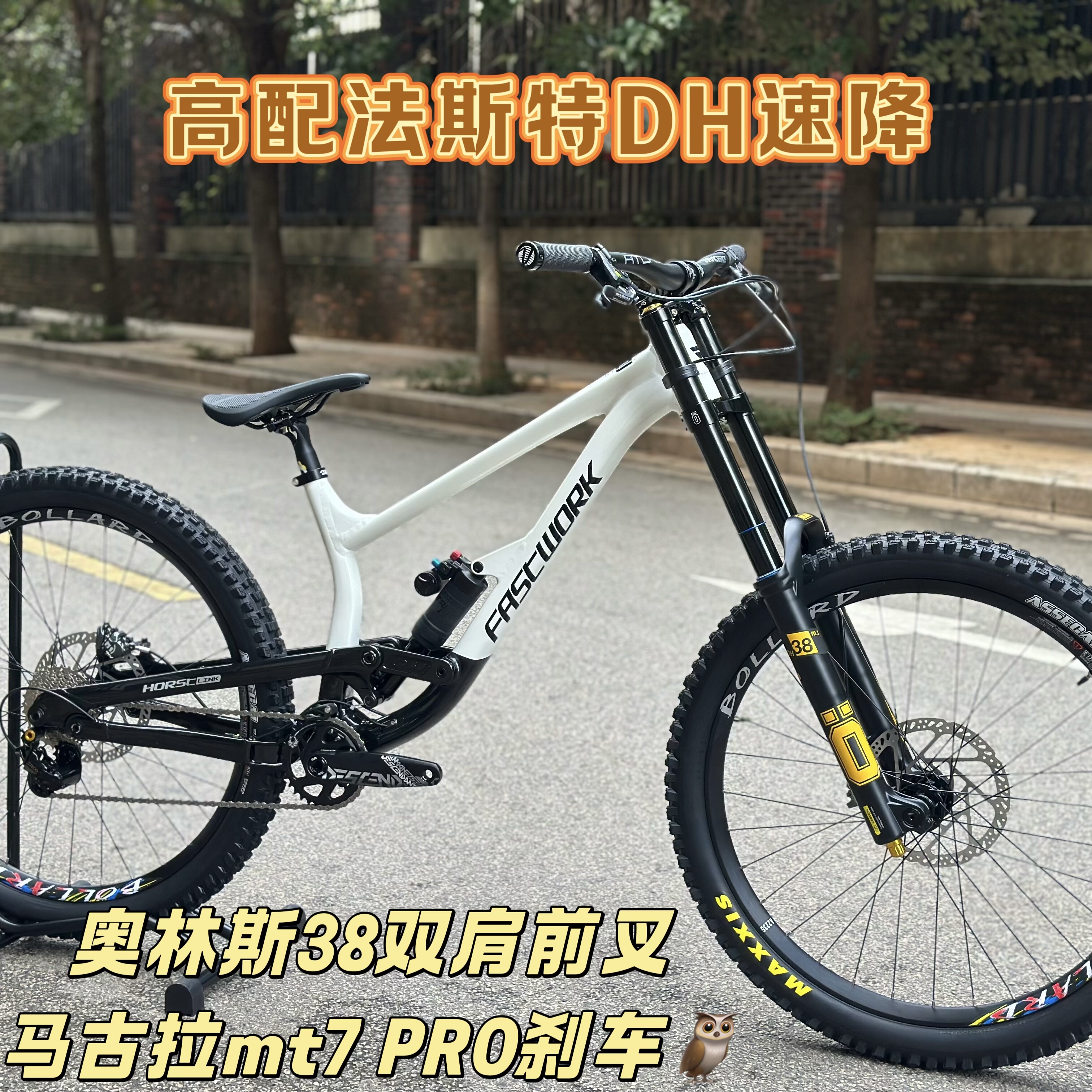 FASTWORK法斯特奥林斯DH38配置软尾速降山地车铝合金DH越野自行车