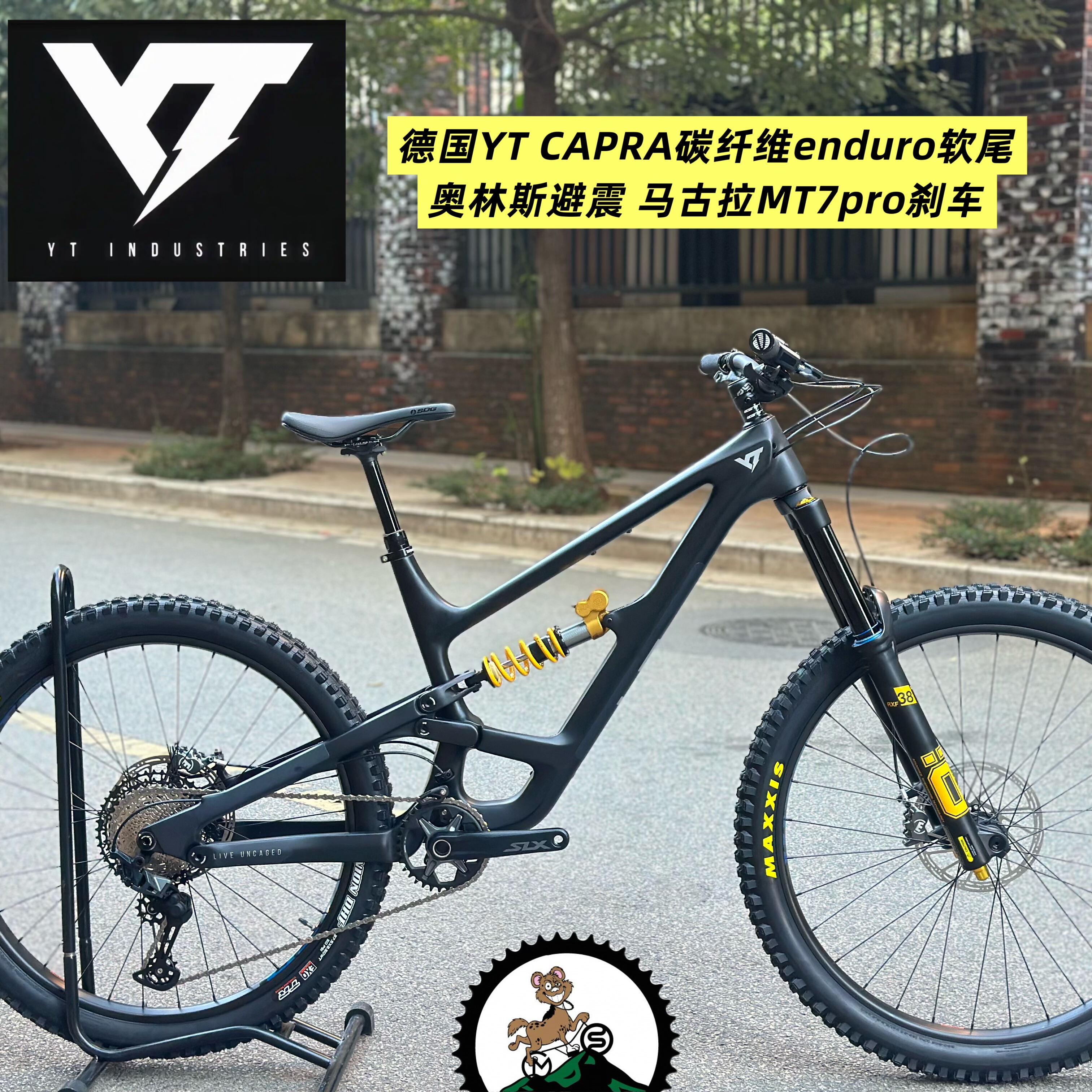 德国YT CAPRA山地车 碳纤维软尾enduro 大行程279混合轮径整车