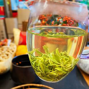 新茶现货2026年明前崂山绿茶早春头芽豆香味250克散装半斤包邮