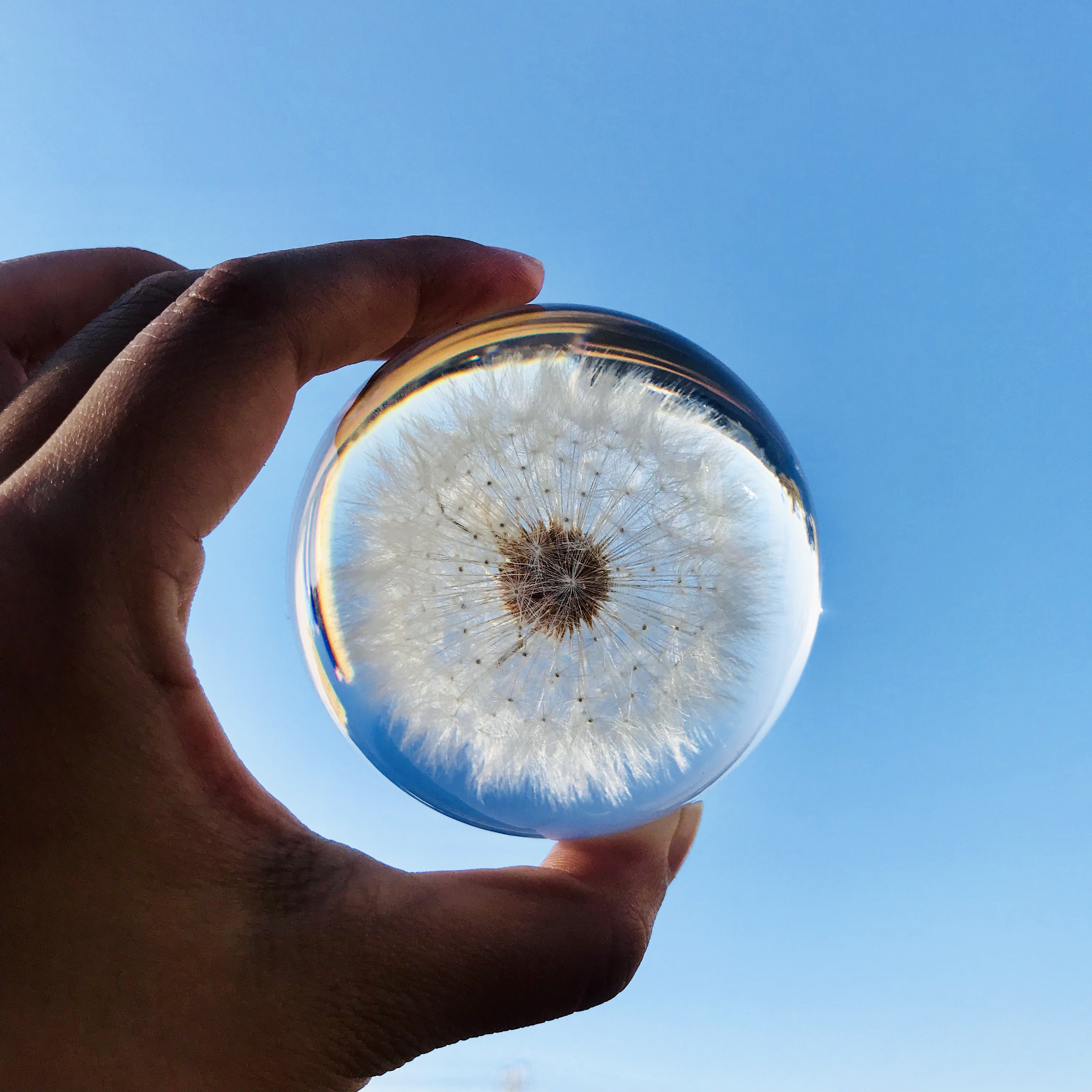 蒲公英标本水晶球滴胶成品永生花樱花玫瑰花树脂标本情侣生日礼物