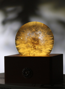 蒲公英氛围小夜灯树脂工艺品送礼摆件永生花木质球母亲节礼物