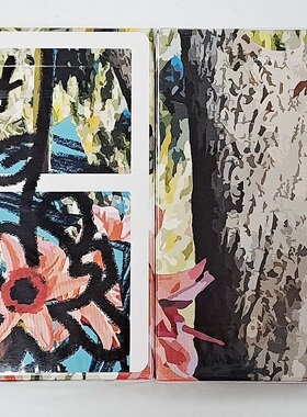 美國原裝進口 MSPRNT 00 - 