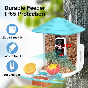 Smart Feeder户外喂鸟器摄像头观鸟高清AI自动智能识别鸟类 Bird