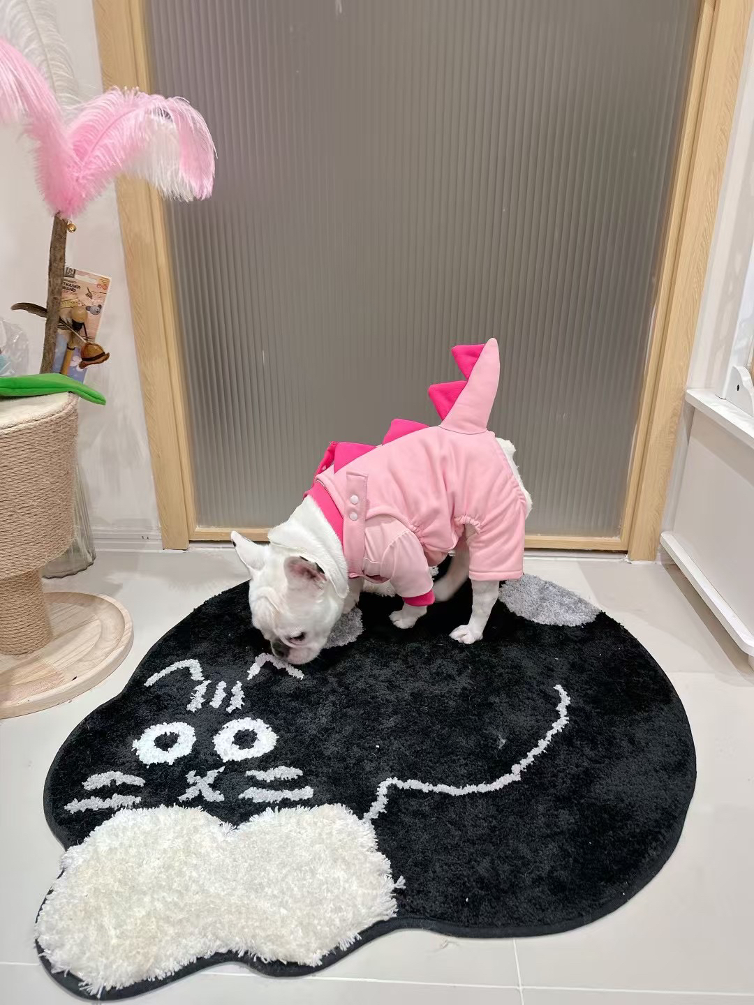 小恐龙四脚衣FB手工自制胖狗秋