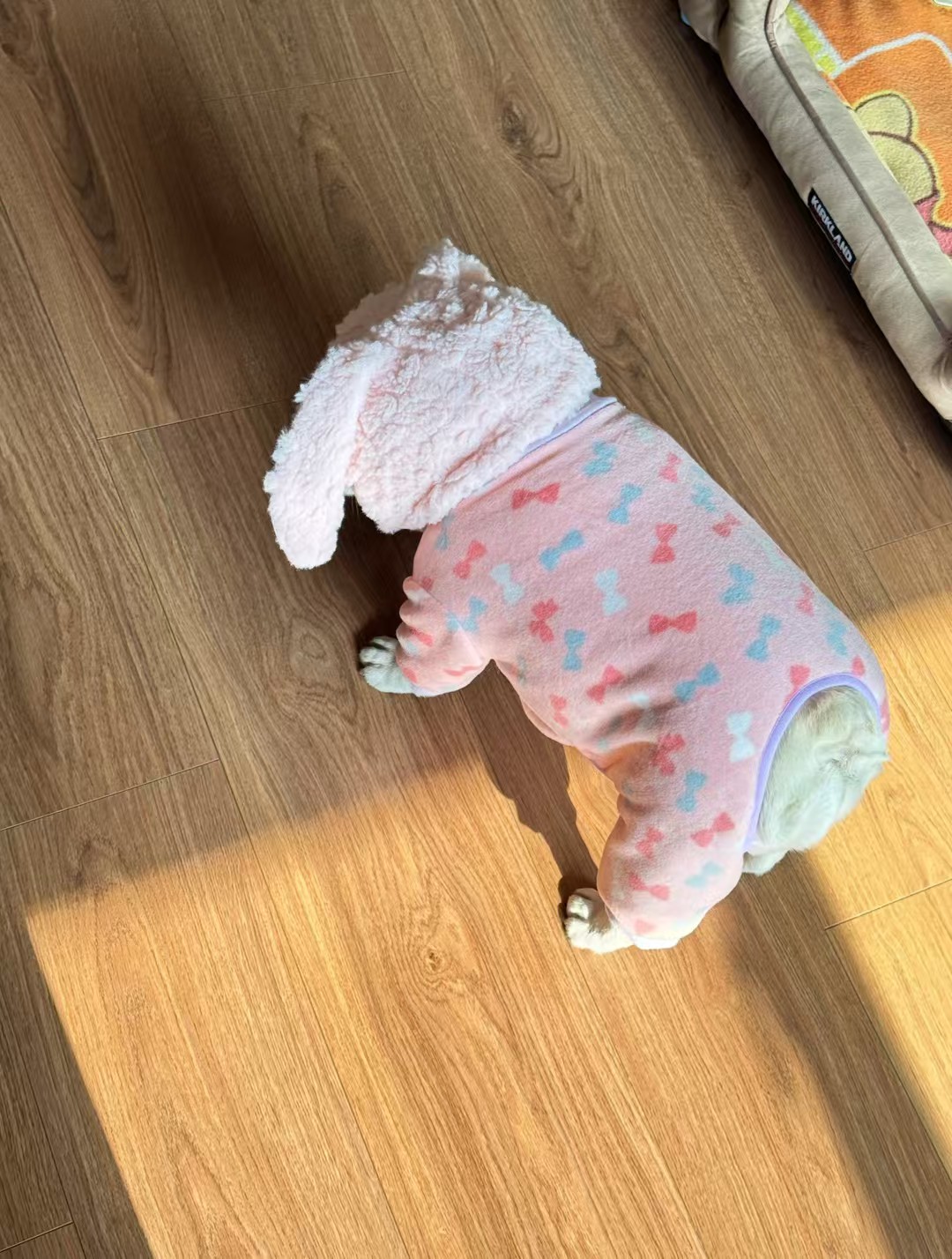 [可爱蝴蝶结保暖四脚衣加厚双面绒]  非非原创法斗狗狗衣服恶霸冬