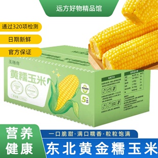 【通过远方320项检测】东北黑土地种植黄糯玉米非转基因微甜不腻