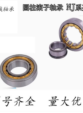 天马圆柱滚子轴承NJ202/NJ203/NJ204/NJ205/NJ206/NJ207/M/E/EM