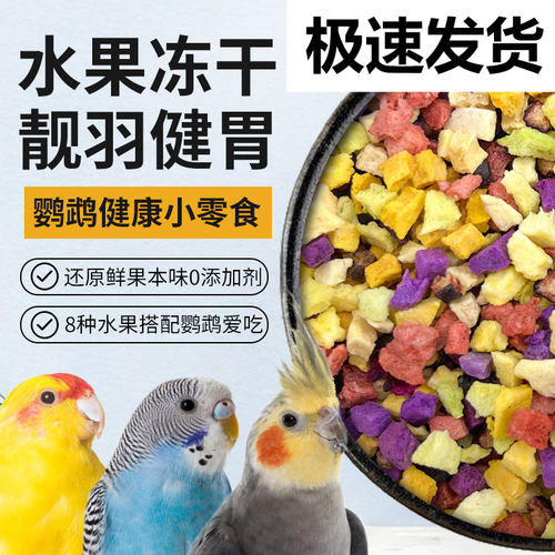 法威尔鹦鹉冻干零食水果训练专用
