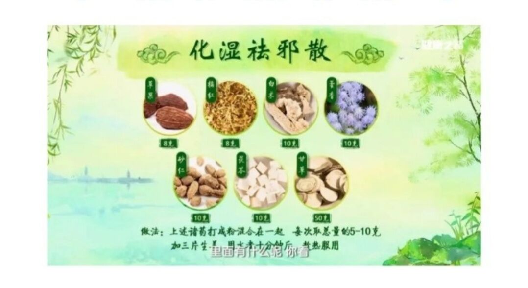 化湿祛邪散 草果橘红白术藿香砂仁茯苓甘草袋泡茶30包买2送1