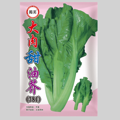 四季耐热高产芥菜种子原厂