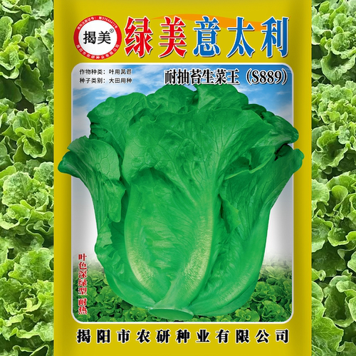 绿美意太利生菜种子25克深绿爽脆