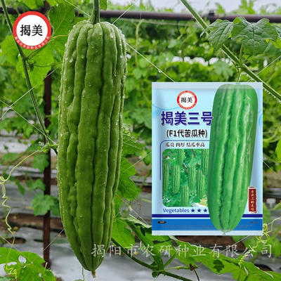 农家三号杂交油绿田园苦瓜种子