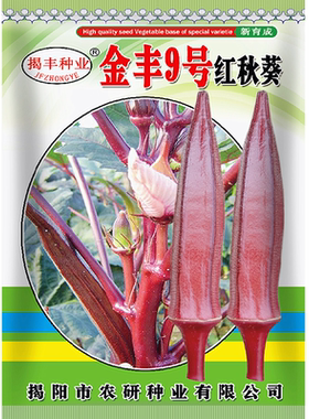 蔬菜种子高产农业盆栽红秋葵